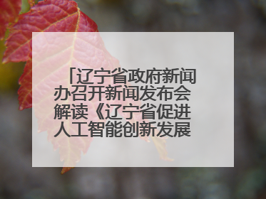 辽宁省政府新闻办召开新闻发布会解读《辽宁省促进人工智能创新发展实施方案》