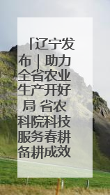 辽宁发布｜助力全省农业生产开好局 省农科院科技服务春耕备耕成效显著