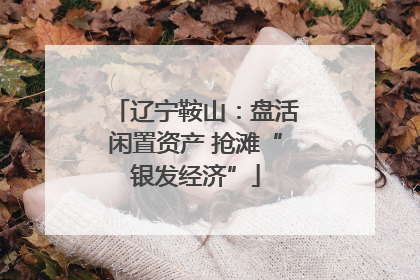 辽宁鞍山：盘活闲置资产 抢滩“银发经济”