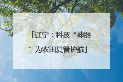 辽宁：科技“神器”为农田夏管护航