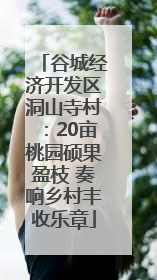 谷城经济开发区洞山寺村：20亩桃园硕果盈枝 奏响乡村丰收乐章
