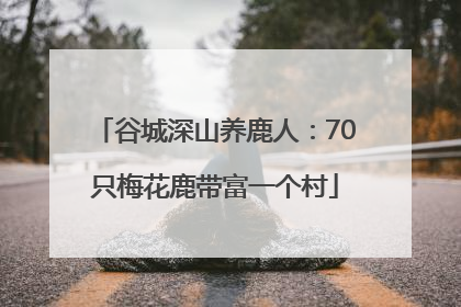 谷城深山养鹿人：70只梅花鹿带富一个村