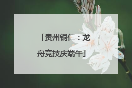贵州铜仁：龙舟竞技庆端午