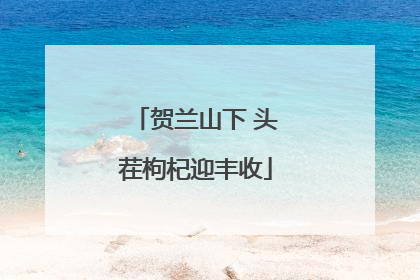 贺兰山下 头茬枸杞迎丰收
