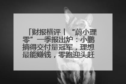财报横评丨“蔚小理零”一季报出炉：小鹏摘得交付量冠军，理想最能赚钱，零跑迎头赶上，蔚来还在调整