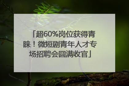 超60%岗位获得青睐！微短剧青年人才专场招聘会圆满收官