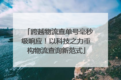 跨越物流查单号毫秒级响应！以科技之力重构物流查询新范式