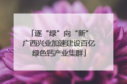 逐“绿”向“新” 广西兴业加速建设百亿绿色钙产业集群