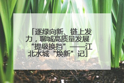 逐绿向新、链上发力，聊城高质量发展“提级换挡”——江北水城“焕新”记