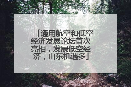 通用航空和低空经济发展论坛首次亮相，发展低空经济，山东机遇多