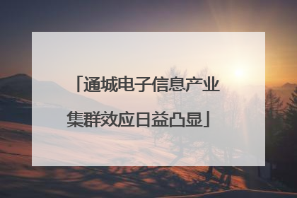 通城电子信息产业集群效应日益凸显