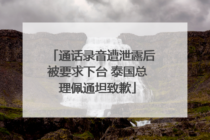 通话录音遭泄露后被要求下台 泰国总理佩通坦致歉
