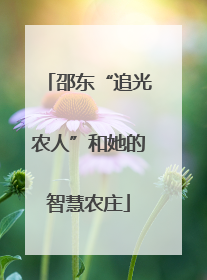 邵东“追光农人”和她的智慧农庄
