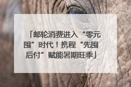 邮轮消费进入“零元囤”时代！携程“先囤后付”赋能暑期旺季