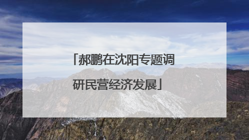 郝鹏在沈阳专题调研民营经济发展
