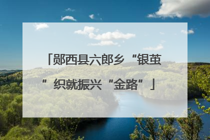 郧西县六郎乡“银茧”织就振兴“金路”