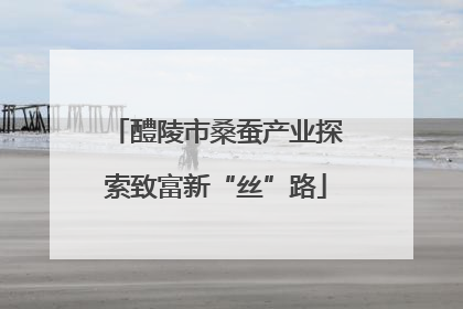 醴陵市桑蚕产业探索致富新“丝”路