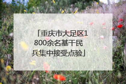 重庆市大足区1800余名基干民兵集中接受点验