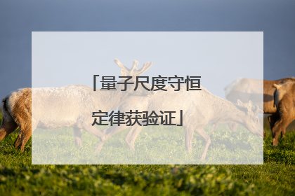 量子尺度守恒定律获验证