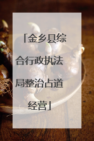金乡县综合行政执法局整治占道经营