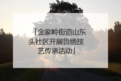 金家岭街道山东头社区开展鲁绣技艺传承活动