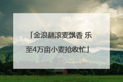 金浪翻滚麦飘香 乐至4万亩小麦抢收忙
