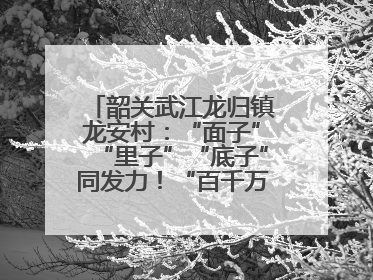 韶关武江龙归镇龙安村：“面子”“里子”“底子”同发力！“百千万工程”激活乡村新动能
