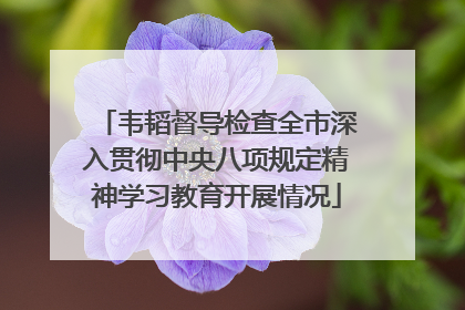 韦韬督导检查全市深入贯彻中央八项规定精神学习教育开展情况