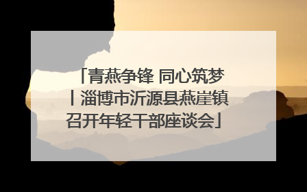 青燕争锋 同心筑梦丨淄博市沂源县燕崖镇召开年轻干部座谈会