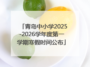 青岛中小学2025-2026学年度第一学期寒假时间公布