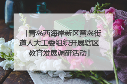 青岛西海岸新区黄岛街道人大工委组织开展辖区教育发展调研活动