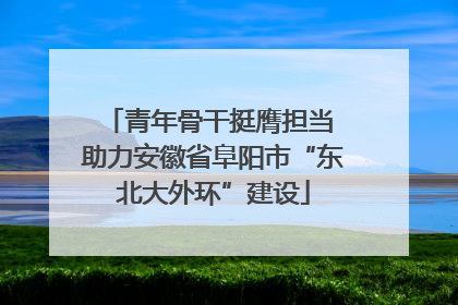 青年骨干挺膺担当 助力安徽省阜阳市“东北大外环”建设