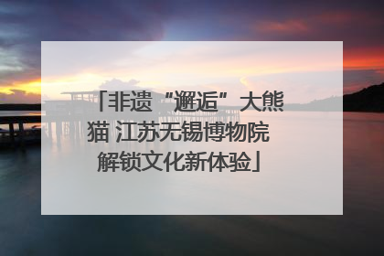 非遗“邂逅”大熊猫 江苏无锡博物院解锁文化新体验