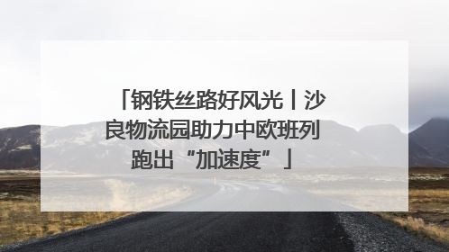 钢铁丝路好风光丨沙良物流园助力中欧班列跑出“加速度”
