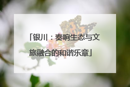 银川：奏响生态与文旅融合的和谐乐章