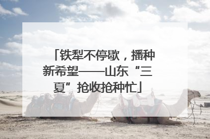 铁犁不停歇，播种新希望——山东“三夏”抢收抢种忙
