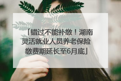 错过不能补缴！湖南灵活就业人员养老保险缴费期延长至6月底