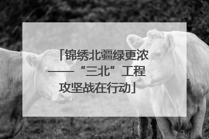 锦绣北疆绿更浓——“三北”工程攻坚战在行动