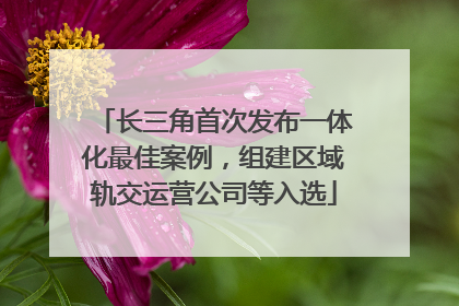 长三角首次发布一体化最佳案例，组建区域轨交运营公司等入选