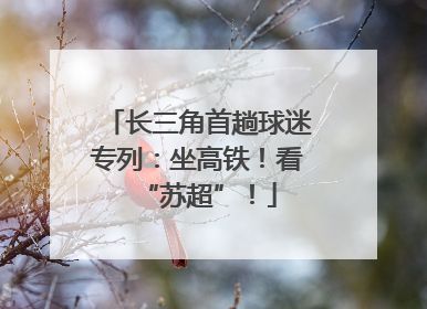 长三角首趟球迷专列：坐高铁！看“苏超”！