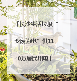 长沙生活垃圾“变废为电”供110万居民用电