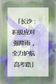 长沙：积极应对强降雨，全力护航高考路