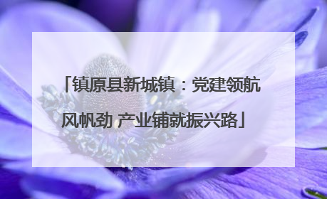 镇原县新城镇：党建领航风帆劲 产业铺就振兴路