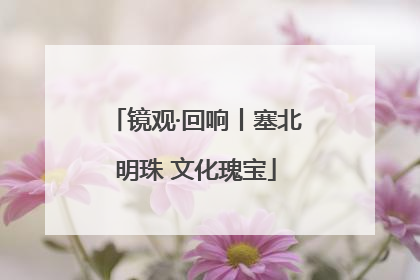 镜观·回响丨塞北明珠 文化瑰宝