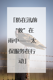 防在汛前 “救”在雨中——太保服务在行动
