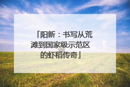 阳新：书写从荒滩到国家级示范区的虾稻传奇