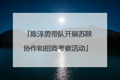 陈泽勇带队开展苏陕协作和招商考察活动