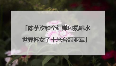 陈芋汐和全红婵包揽跳水世界杯女子十米台冠亚军