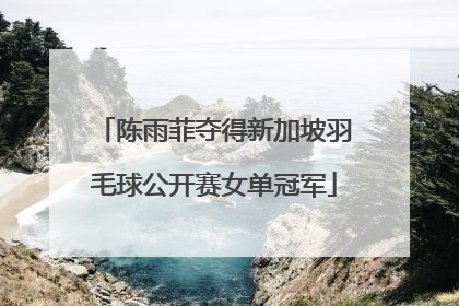 陈雨菲夺得新加坡羽毛球公开赛女单冠军