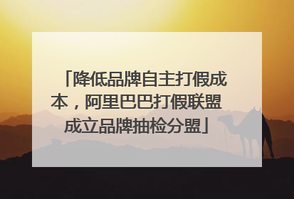 降低品牌自主打假成本，阿里巴巴打假联盟成立品牌抽检分盟